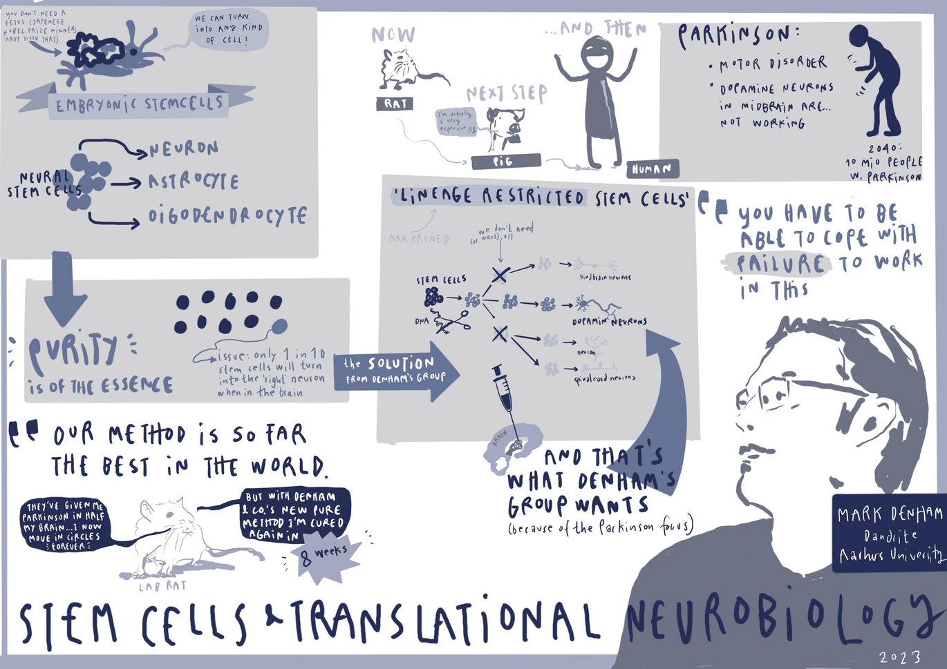 Graphical illustration of Mark Denham's research in stem cells