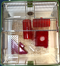 The image shows the content including bedding, enrichment, etc. in a standard GR900 cage.