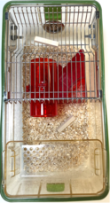 The image shows the content including bedding, enrichment, etc. in a standard GM500 cage.