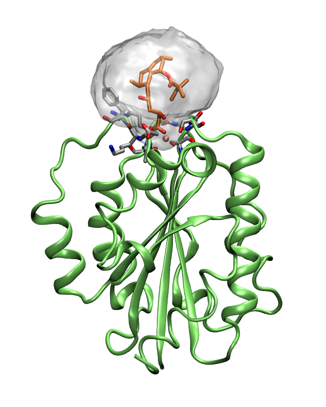 Simvastatin sætter sig som en prop i immunsystemets såkaldte adhæsionsmolekyler. Simvastatin sætter sig som en prop i immunsystemets såkaldte adhæsionsmolekyler.