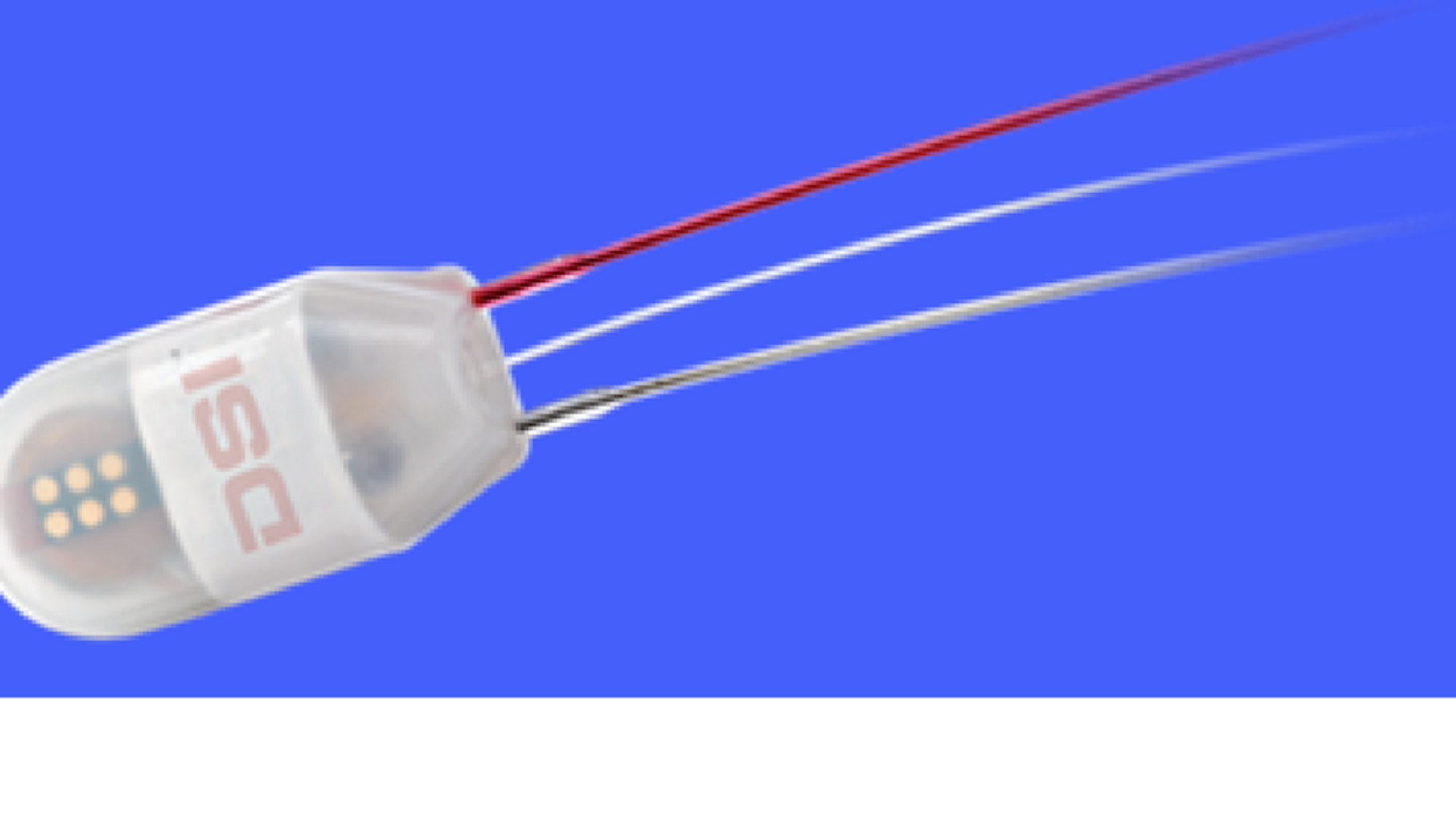 Tail-cuff for non-invasive blood pressure measurements; image by DSI