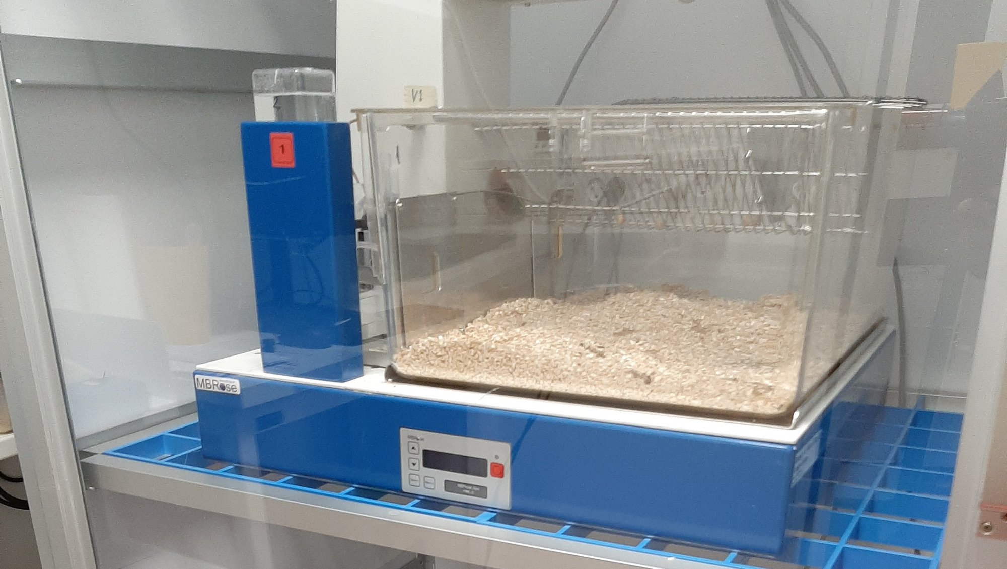 HM-2 Metabolic Cage; image Tina M. Pedersen