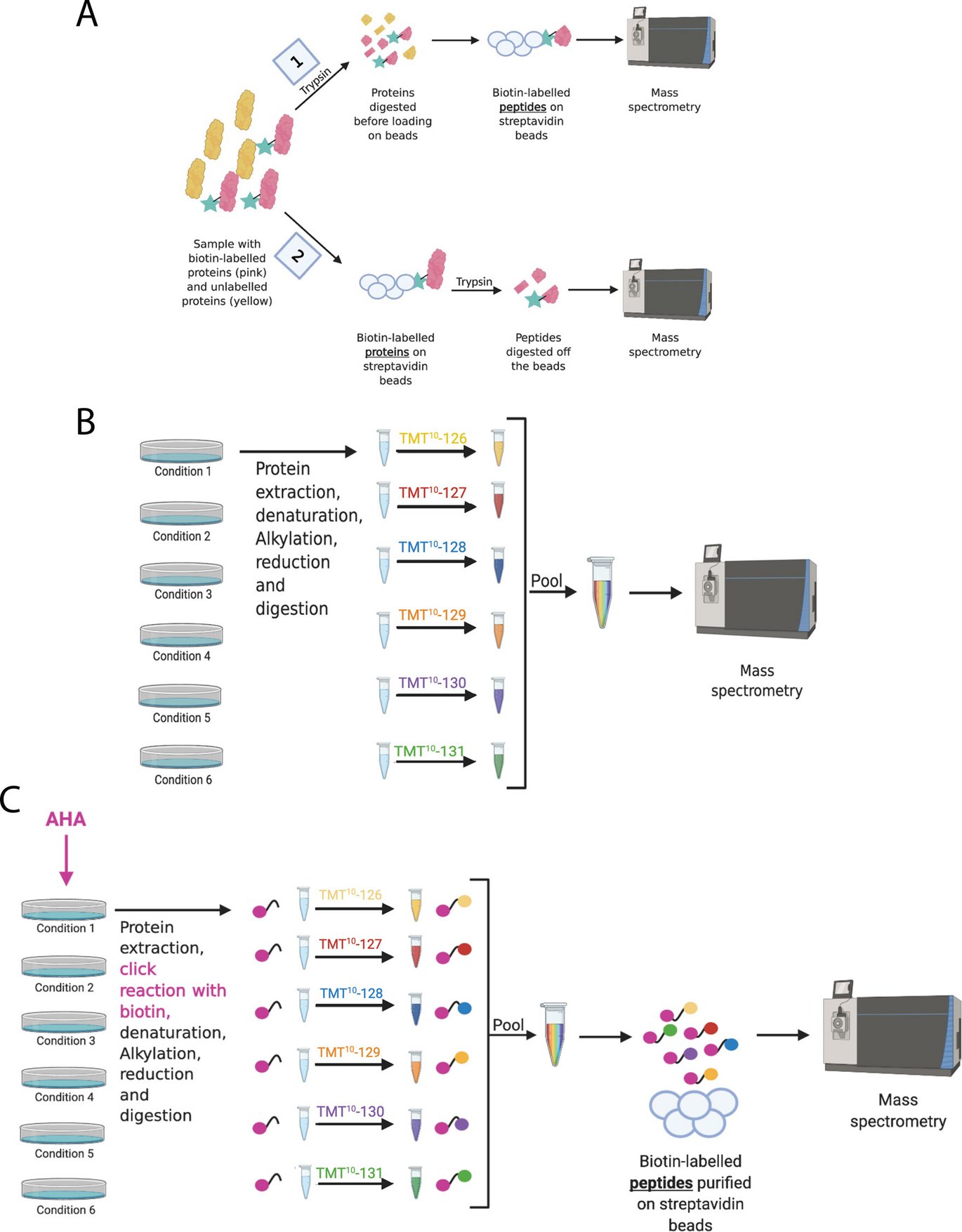 Graphic from the article: (A) Schematic comparison between a conventional proteomic strategy and DiDBiT for the isolation and analysis of biotin-labeled NSPs. (B) Schematic representation of the TMT strategy and (C) DiDBiT-TMT strategy for the analysis of the whole proteome and the nascent proteome. 