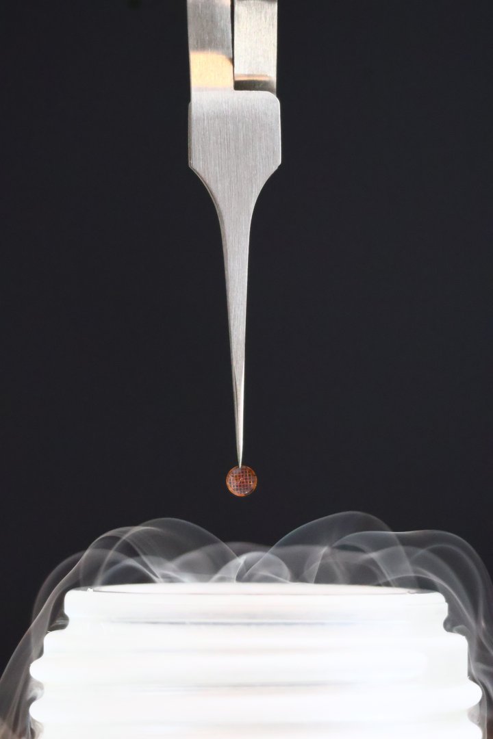 Decorative photo of Cryo-grid plunge freezing