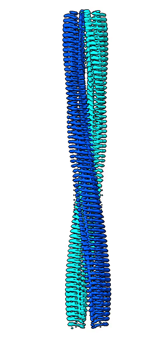 Density map of PSMa1