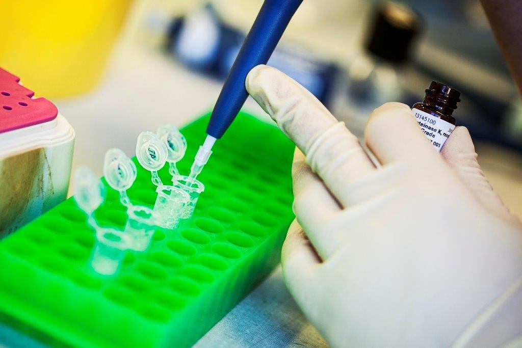Incoming Lab Lab Technologist position available in Kim Lab