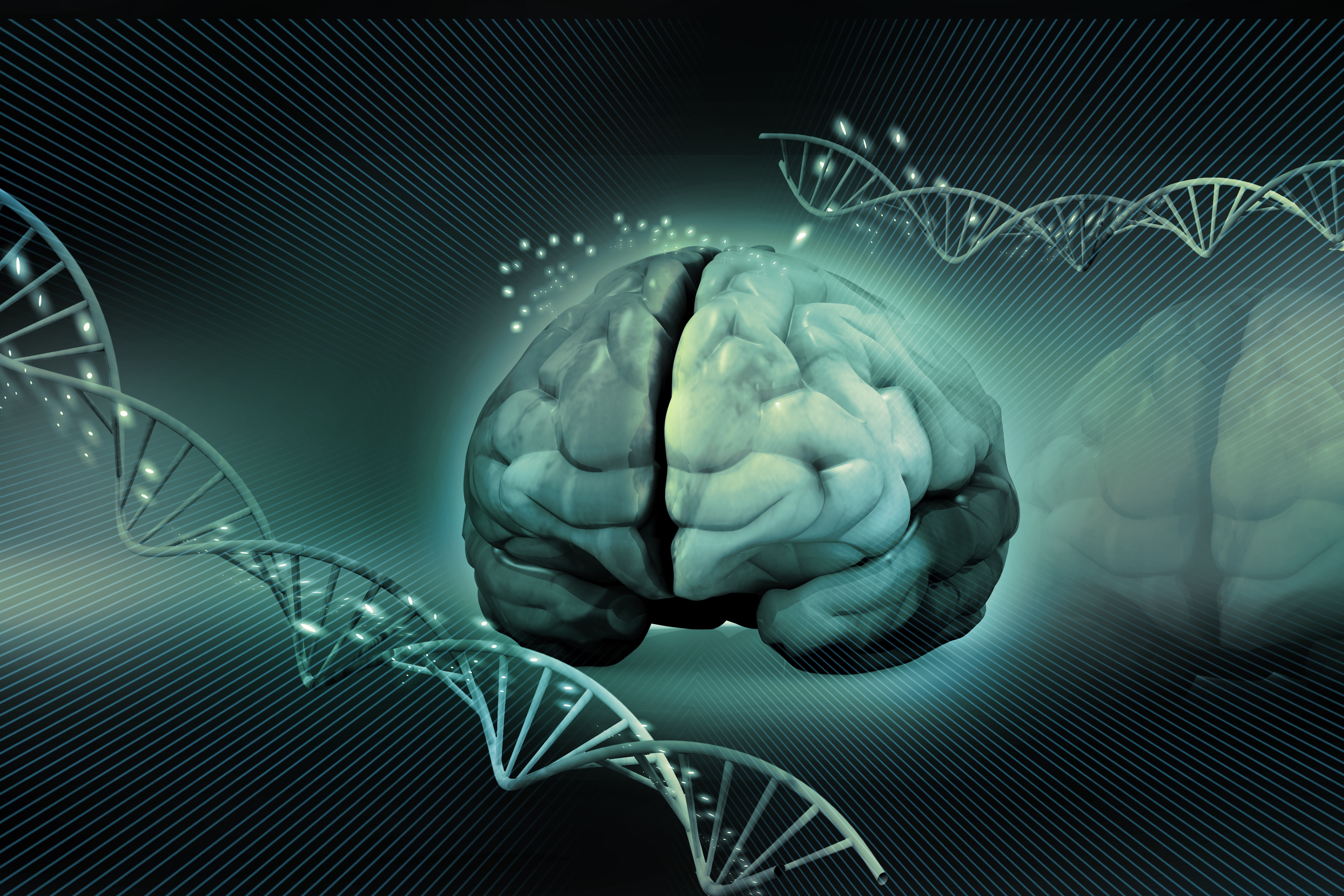 In rare cases herpes virus develops into a severe inflammation of the brain. The disease can cause permanent brain damage and even death.