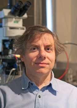 Marco Capogna forsker i hjernens reaktion på rystende oplevelser. Til april skifter han det prestigefyldte University of Oxford ud med en professorstilling på Aarhus Universitet. Marco Capogna forsker i hjernens reaktion på rystende oplevelser. Til april skifter han det prestigefyldte University of Oxford ud med en professorstilling på Aarhus Universitet.