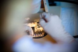 Et forskerhold fra Aarhus Universitet er kommet nærmere en forståelse af, hvordan de tidlige Parkinsons-symptomer opstår, og måske også hvordan de kan bremses. Et forskerhold fra Aarhus Universitet er kommet nærmere en forståelse af, hvordan de tidlige Parkinsons-symptomer opstår, og måske også hvordan de kan bremses.